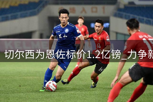 切尔西为恩佐标价1.2亿镑 力争新赛季开赛前完成转会